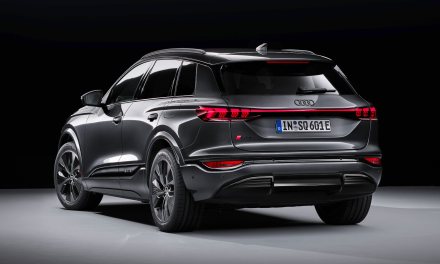 Oznaczenia silników znikają z Audi – najpierw z nowego Q6 e-tron
