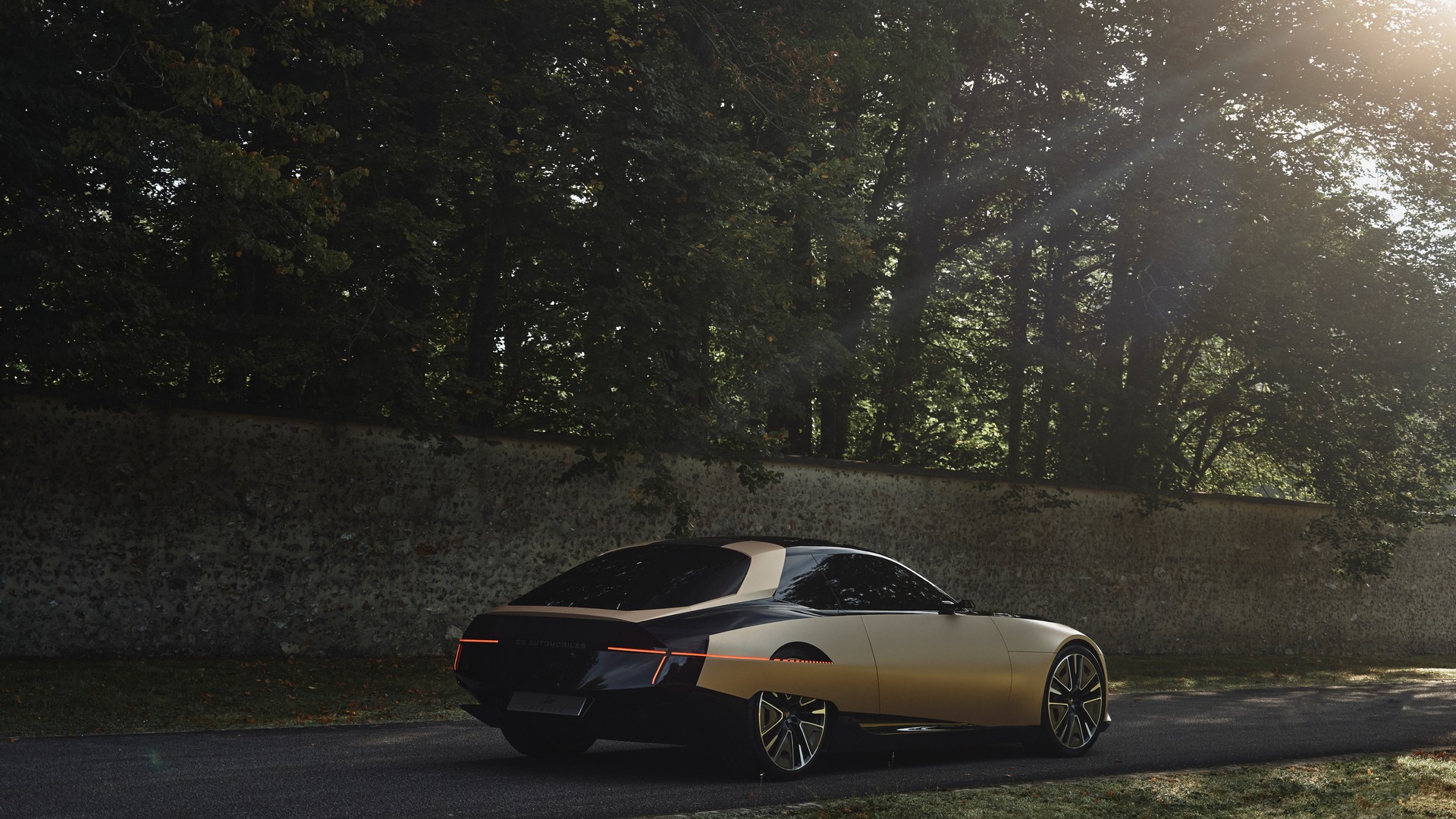 DS SM Tribute bardziej z tyłu