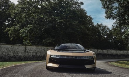 DS SM to nie żaden hołd dla ikon, tylko wizerunkowa gra pozorów