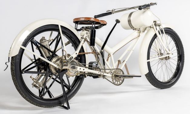 110-letni Williams Clady to kiwi wśród samolotów. To faktycznie jedyny taki zobacz